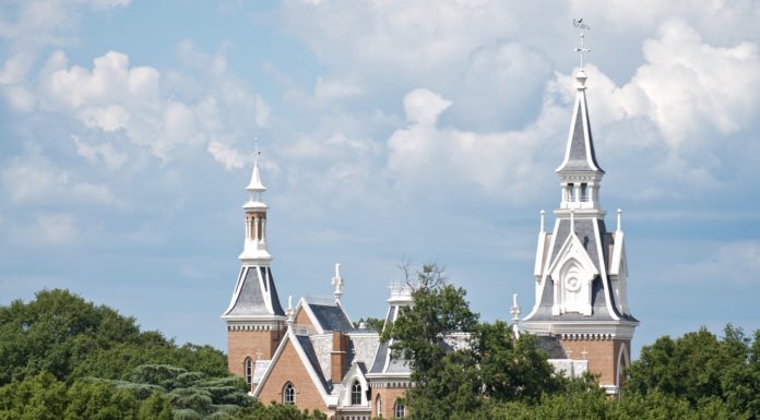 Law School Professor ABA National Award Winner