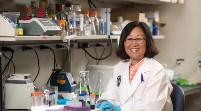 School of Medicine Faculty Member, Collaborator Receive $2.6 Million from NIH, Additional Support for Disease Research