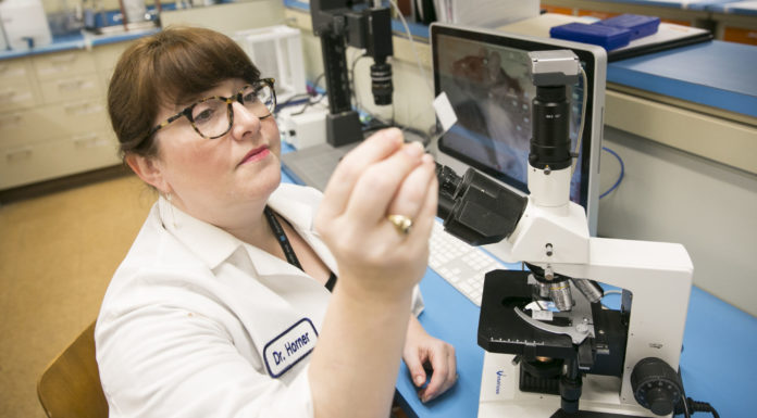 School of Medicine Professor Receives Nearly $500K NIH Grant to Study Neural Mechanisms Related to Drug Addiction Dr. Kristen Ashley Horner