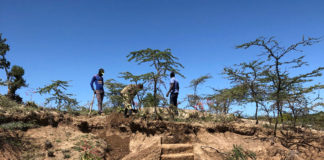 Dr. Francis Kirera in Kenya