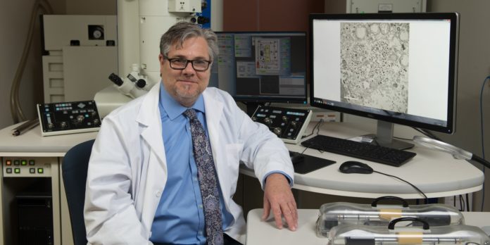 Dr. Robert Visalli sits in front of Mercer University's transmission electron microscope, which aided in the discovery of the Epstein-Barr virus portal.