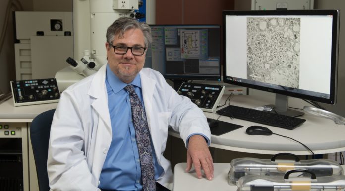 Mercer researchers make discovery that could lead to treatment for mono, other illnesses Dr. Robert Visalli sits in front of Mercer University's transmission electron microscope, which aided in the discovery of the Epstein-Barr virus portal.
