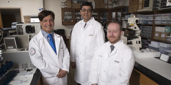 Dr. Martin D'Souza, Dr. Ajay Banga and Dr. Kevin Murnane are pictured in their lab, where they work on products to treat brain disease