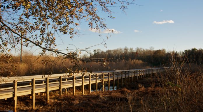 Where to go when you want to hike, bike, camp or fish around Macon Outdoor trail