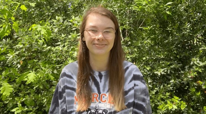 Bear Hug: Hannah Bonney Hannah Bonney