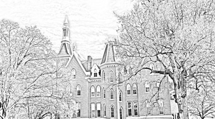 Fun Friday: Downloadable Mercer Coloring Sheets | Round 6