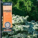 Spring Banner