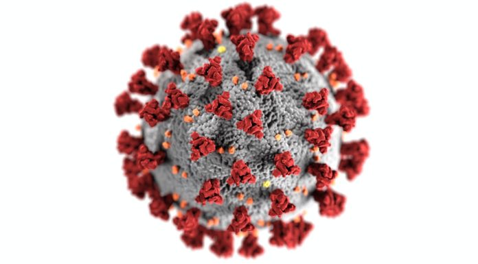 Professor’s popular Facebook posts help make sense of COVID-19 data Coronavirus illustration