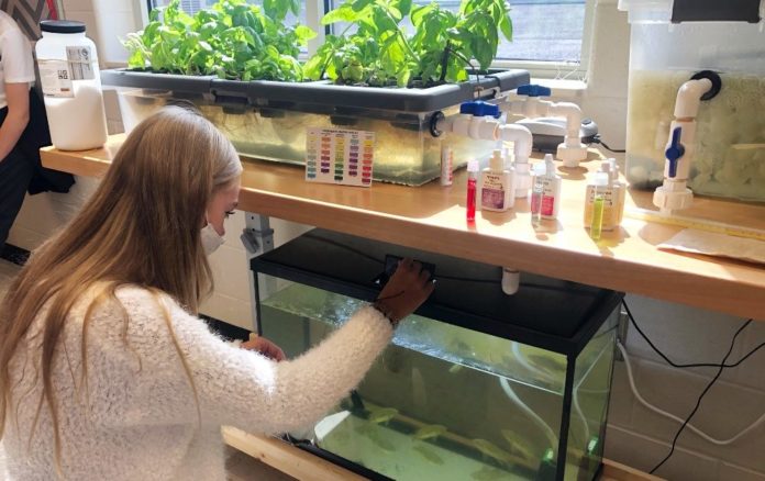 A female student checks a fish tank under a table that has plants on it
