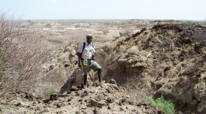 Professor part of team awarded $2.6 million grant for research in Kenya