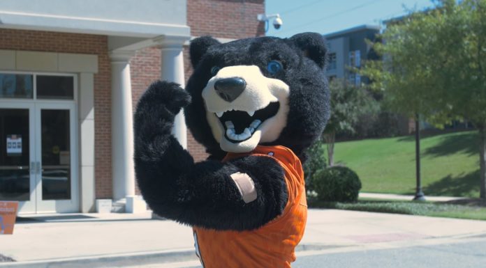 Mercer schedules flu shot clinics for students, faculty and staff