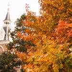 Fall Spires