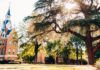 Two students selected for Martin Luther King Jr. Center internships A large tree stands near a brick building with a tall spire under a sunny sky, surrounded by green foliage.