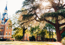 Two students selected for Martin Luther King Jr. Center internships A large tree stands near a brick building with a tall spire under a sunny sky, surrounded by green foliage.
