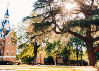 Two students selected for Martin Luther King Jr. Center internships A large tree stands near a brick building with a tall spire under a sunny sky, surrounded by green foliage.