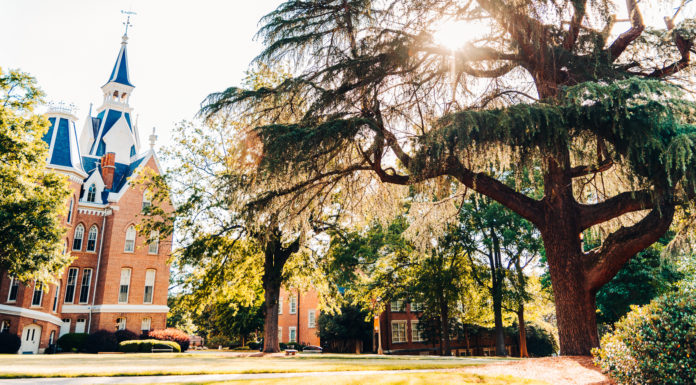 SGA organizes meeting to engage students in dialogue about COVID-19 A large tree stands near a brick building with a tall spire under a sunny sky, surrounded by green foliage.