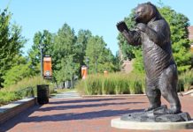Three students selected for research internships in Germany Bear Statue
