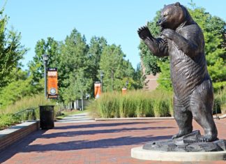 Three students selected for research internships in Germany Bear Statue