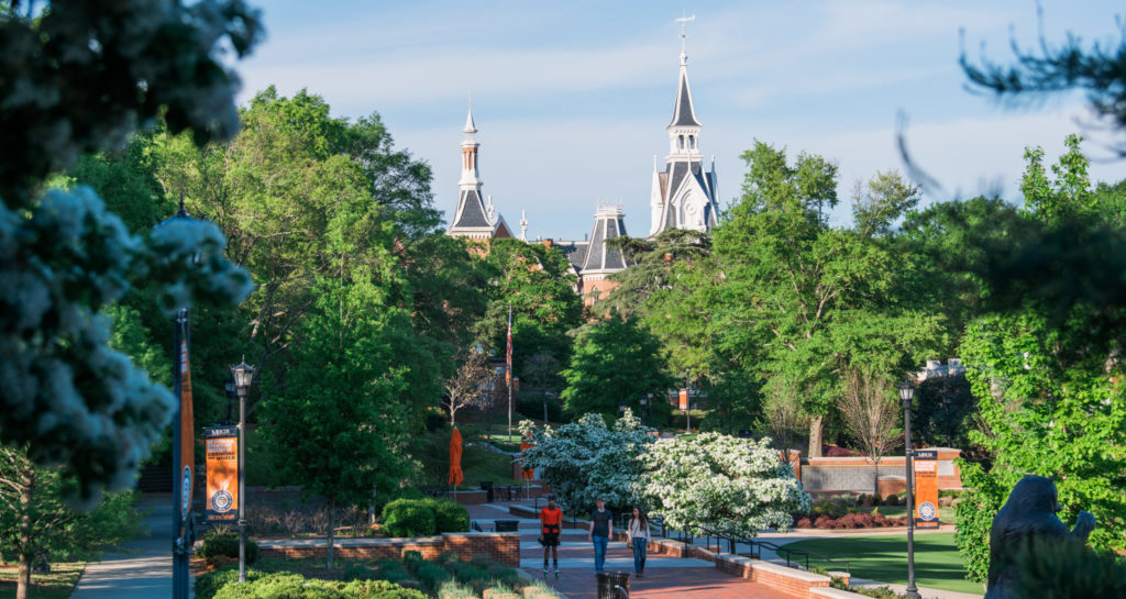 Spring on the Mercer campus.