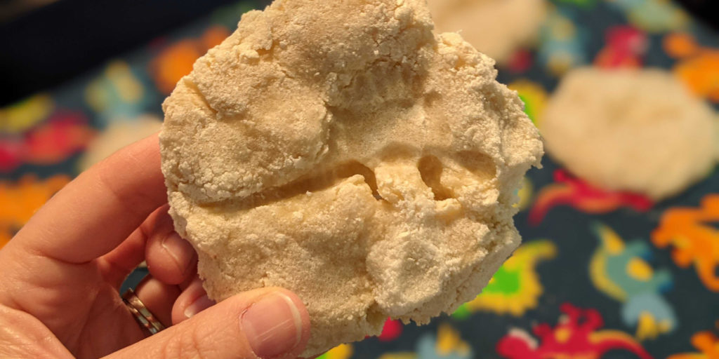dinosaur imprint in dough