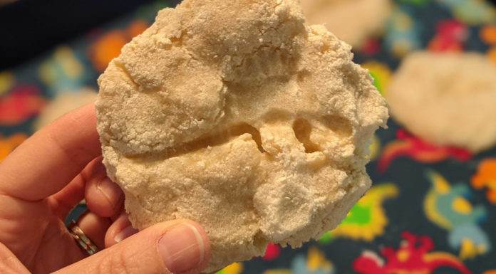 Make Your Own Fossils | Atlanta Science Festival dinosaur imprint in dough