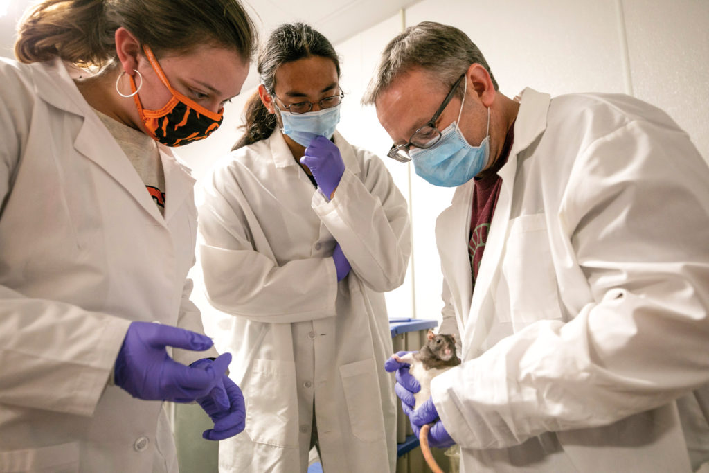Left, Dr. Joshua Rodefer, assistant professor of psychology and neuroscience, College of Liberal Arts and Sciences, is pictured in the lab with neuroscience majors Maddie Runion (left) and Jimmy Jian (center).