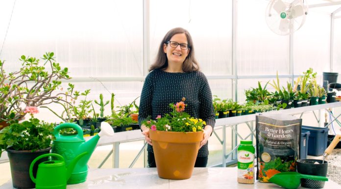 How to make a container garden | How Do You Do That? a woman stands in a greenhouse in holding a container with a plant in it. gardening tools are around her.