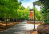 Mercer keeps Bears coming back again and again Atlanta banner
