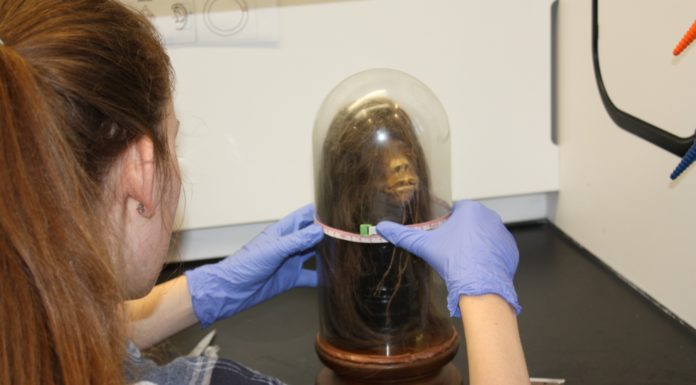 Decades after shrunken head was brought to Mercer, professors return it to Ecuador Mercer University student Amy Jenkins examines the tsantsa.