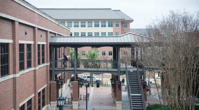 Students create data visualizations for community partners | Classroom Spotlight