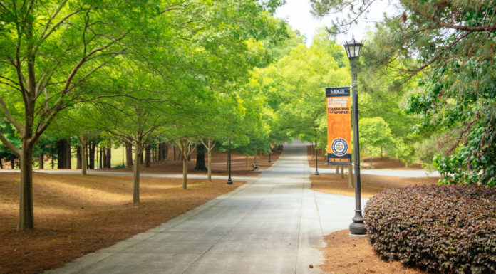 CHP receives $1.2 million grant to train students to address opioid use, behavioral health needs Trees on Atlanta Campus