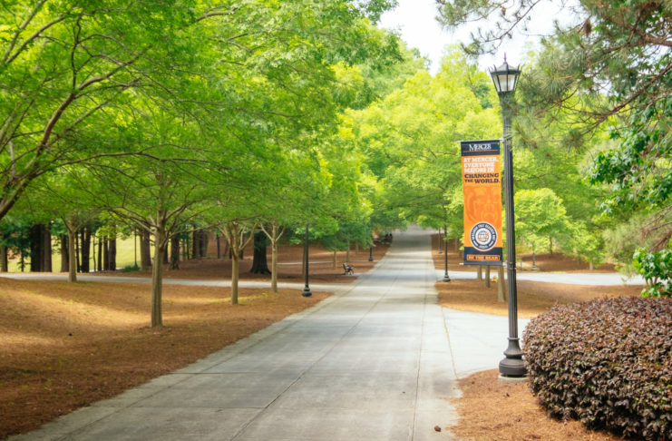 Trees on Atlanta Campus