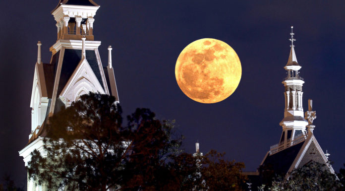 ‘Tis the season for hope that you will find what you seek under your own ‘Owl Moon’ The moon between the Administration Building's spires