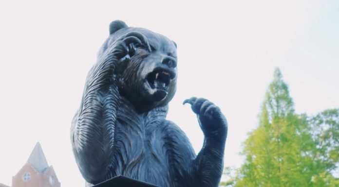 Graduate Spotlight: Samantha Gonski A young woman in a graduation cap and gown stands in front of a bear statue
