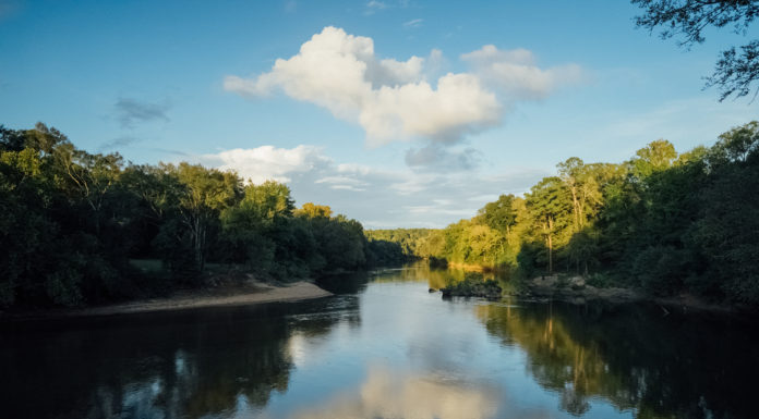 An insider’s guide to a Macon summer to remember A view of the Ocmulgee River from Amerson River Park