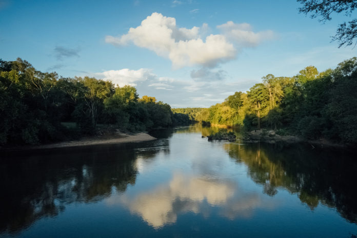 A view of the Ocmulgee River from Amerson River Park