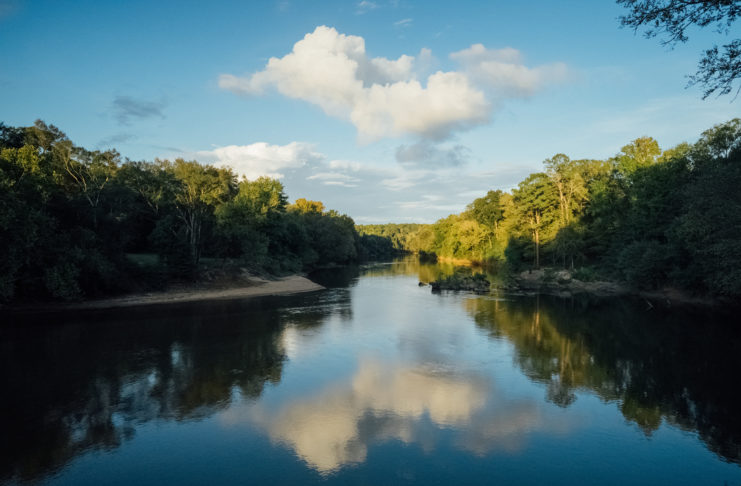 A view of the Ocmulgee River from Amerson River Park