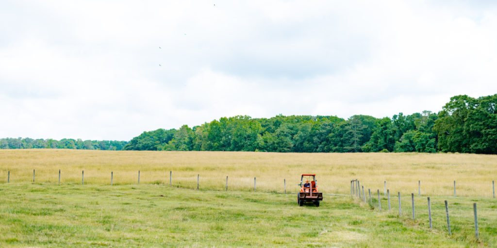 Man on tractor in a field