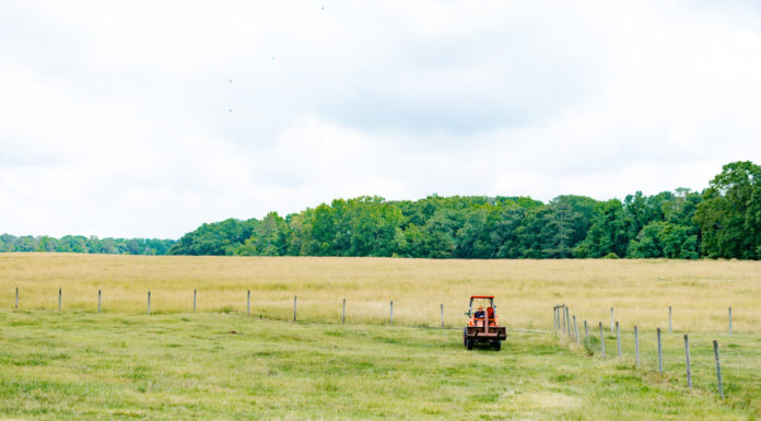 Georgia Rural Health Innovation Center researchers uncover ‘crisis level’ of stress faced by state’s farmers Man on tractor in a field