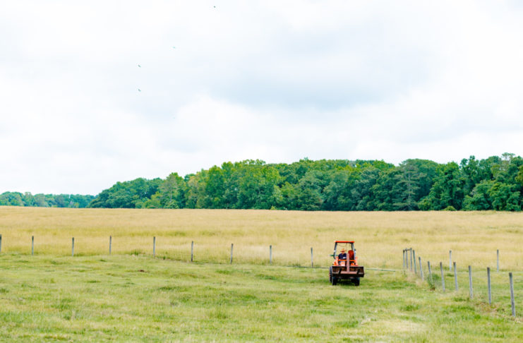 Man on tractor in a field