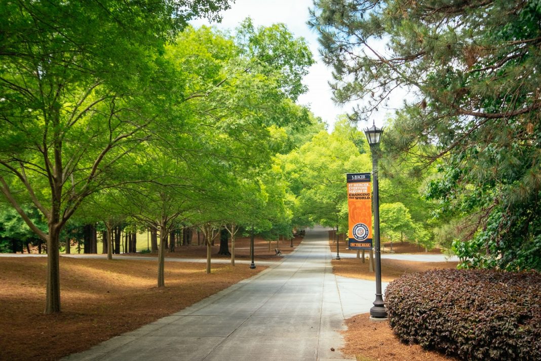 Trees on the Atlanta campus