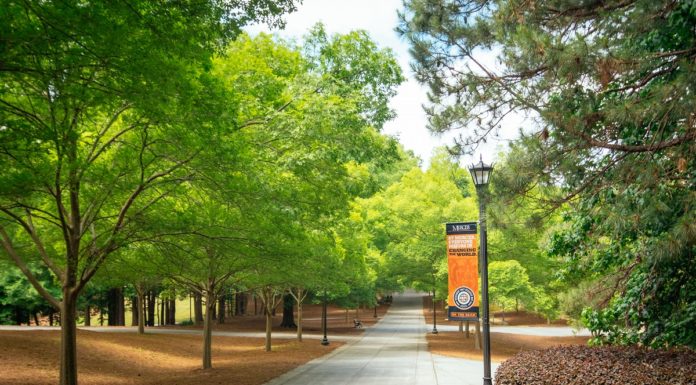 Trustees approve promotions, tenure, emeriti status and sabbaticals for 2024-25 Trees on the Atlanta campus