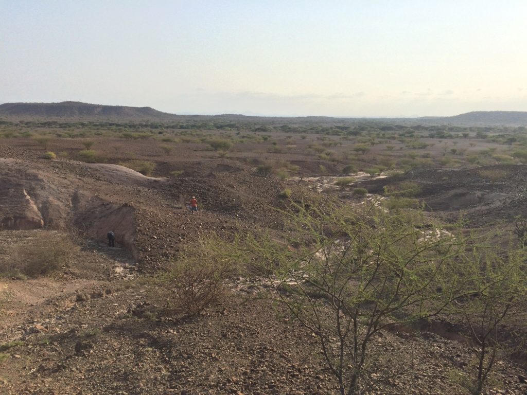 The Loperot fossil site in Kenya's Rift Valley Province, where a research team discovered a nearly complete skull of a new crocodile species called Kinyang tchernovi. 