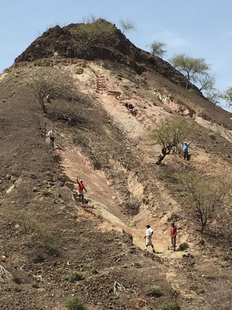 Researchers are shown at Loperot fossil site in Kenya's Rift Valley Province in summer 2016. Photo courtesty Dr. Francis Kirera 