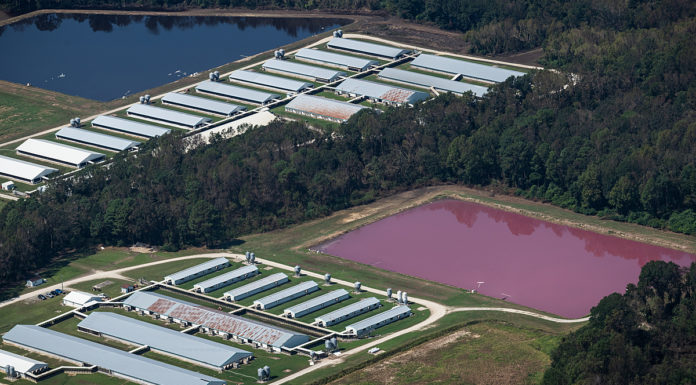 Professor’s analysis of animal agriculture spurs climate change research Aerial views of CAFO (Concentrated Animal Feeding Operations) farms in North Carolina.
