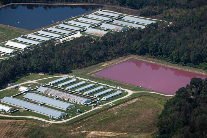 Aerial views of CAFO (Concentrated Animal Feeding Operations) farms in North Carolina.
