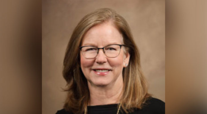 Professor receives Ronald S. Blicq Award for Distinction in Technical Communication headshot of helen grady