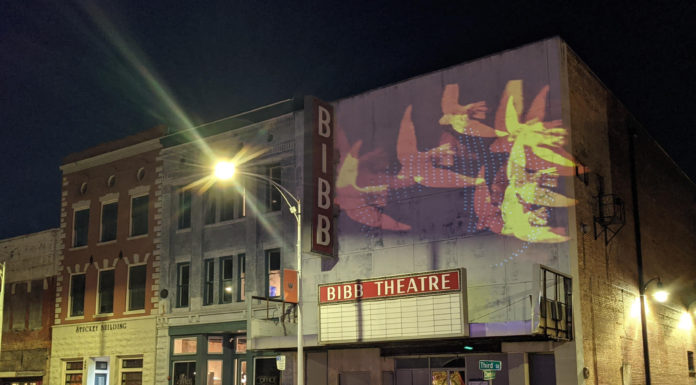 Get in touch with your artistic side in downtown Macon an image of birds flying is projected on a vacant theater