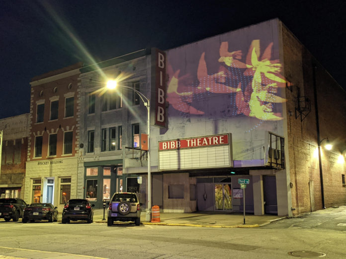 an image of birds flying is projected on a vacant theater