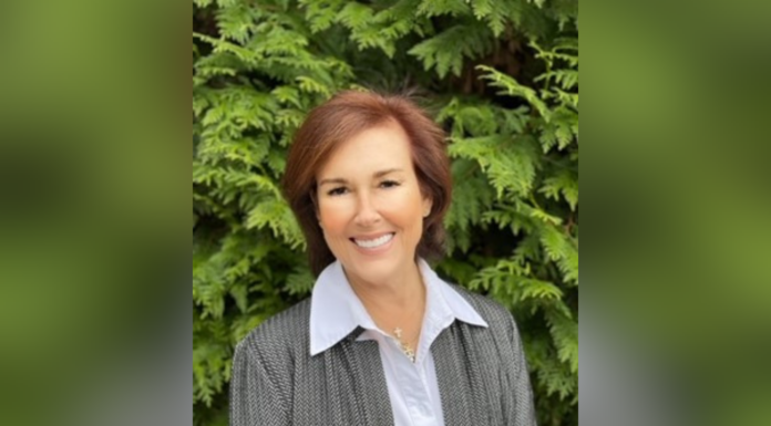 Mercer Law alumna named Chicken Salad Chick’s first general counsel headshot of carol terry